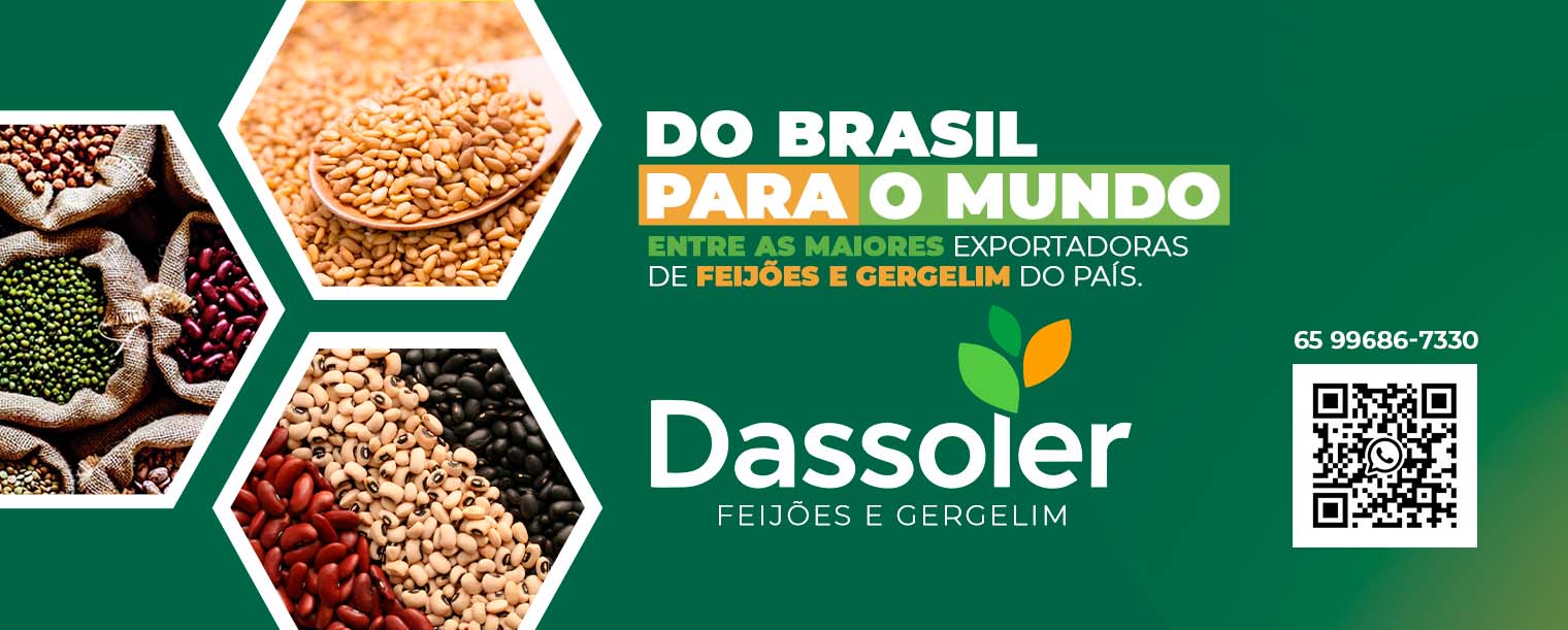 Dassoler