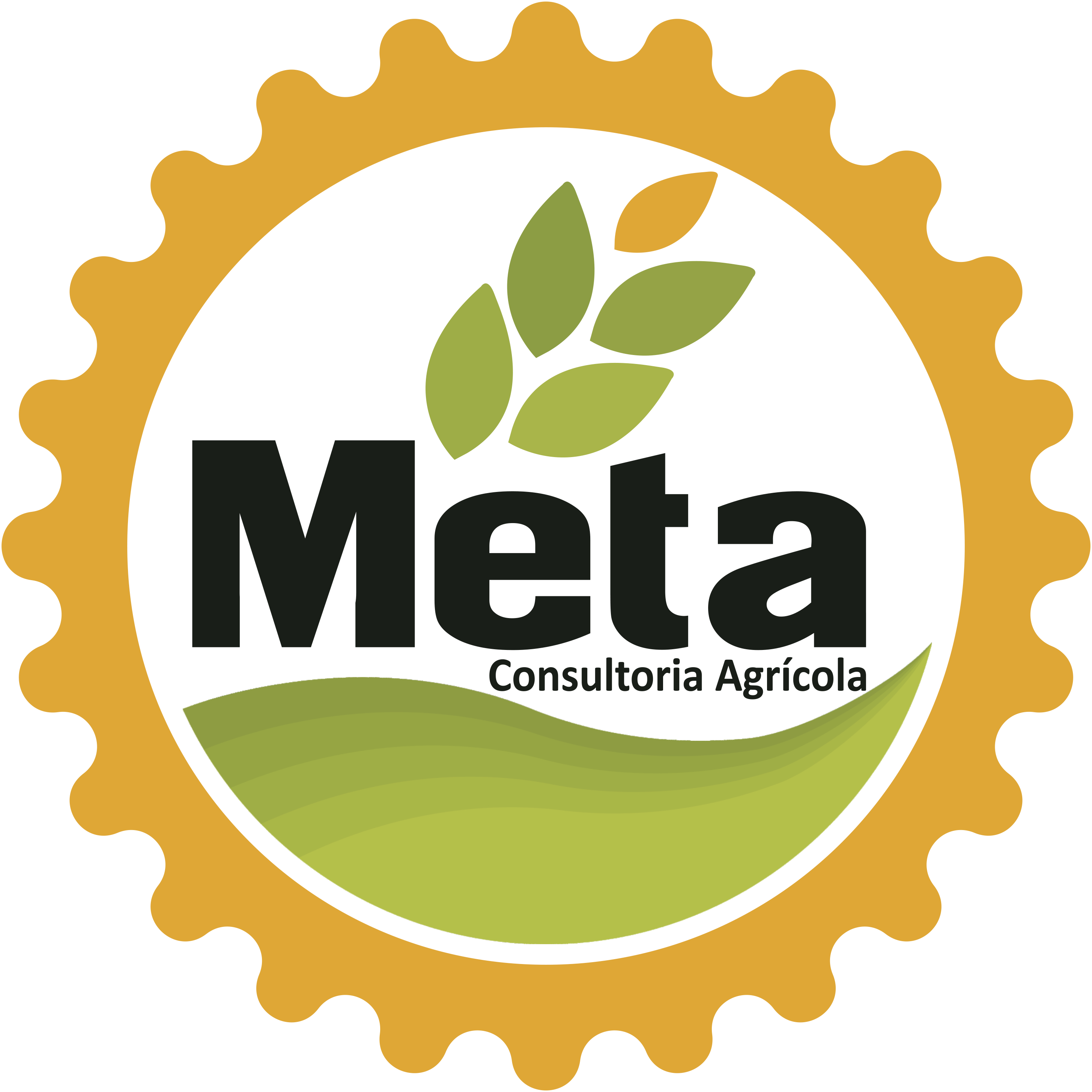 Meta Consultoria