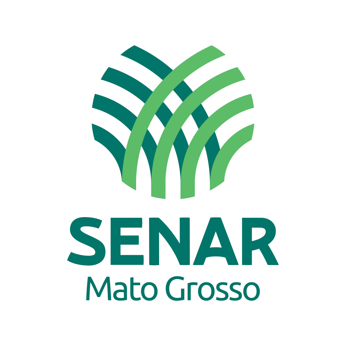 SENAR-MT